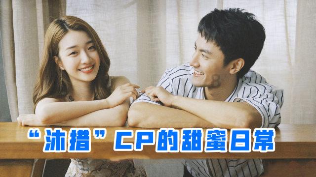 寻找火鸡