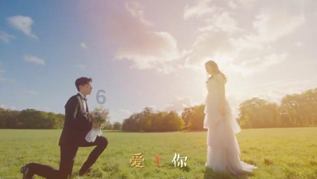 公主热带婚礼主题