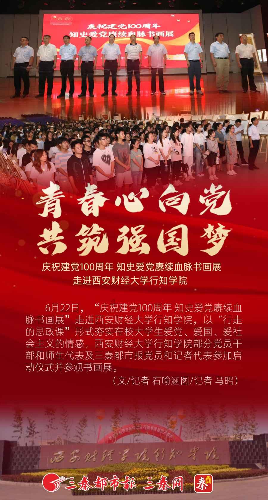 救援狗与猫